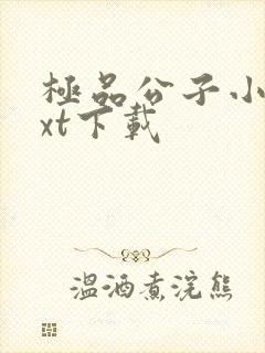 极品公子小说txt下载