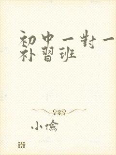 初中一对一物理补习班