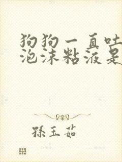 狗狗一直吐白色泡沫粘液是什么原因