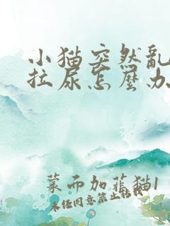 小猫突然乱拉屎拉尿怎么办