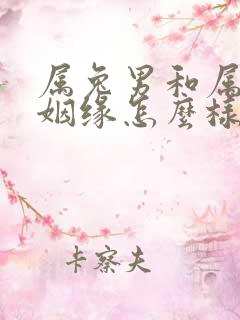 属兔男和属蛇女姻缘怎么样