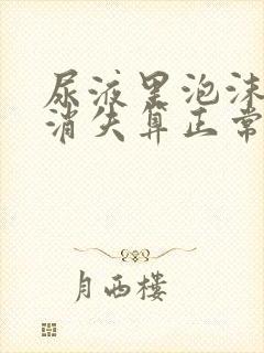 尿液里泡沫多久消失算正常