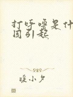 打呼噜是什么原因引起