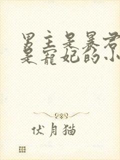 男主是暴君女主是宠妃的小说