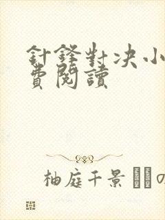 针锋对决小说免费阅读