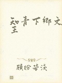 知青下乡文双男主