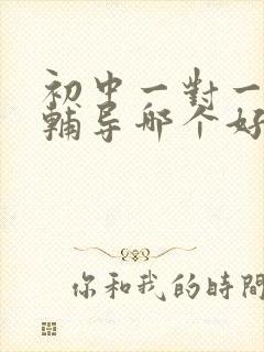 初中一对一在线辅导哪个好