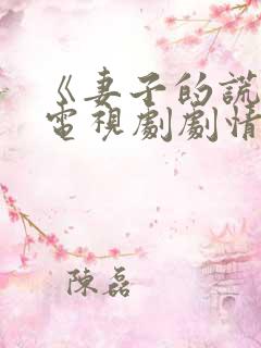 《妻子的谎言》电视剧剧情免费观看