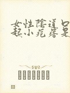 女性阴道口外面起小疙瘩是怎么回事