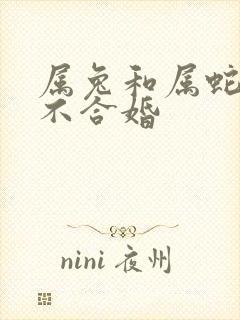 属兔和属蛇的合不合婚