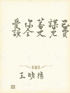 爱你蓄谋已久小说全文免费看