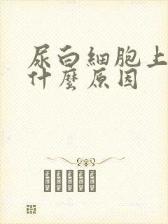 尿白细胞上升是什么原因