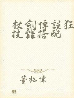 杖剑传说狂战士技能搭配