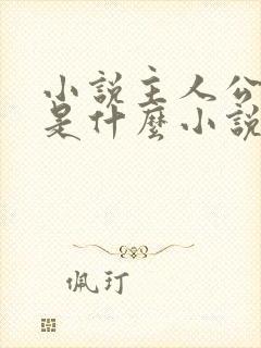 小说主人公林天是什么小说