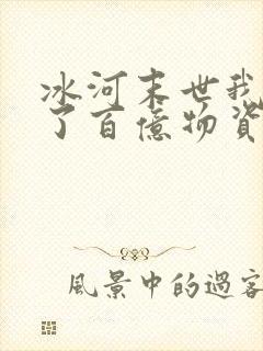 冰河末世我囤积了百亿物资无弹窗