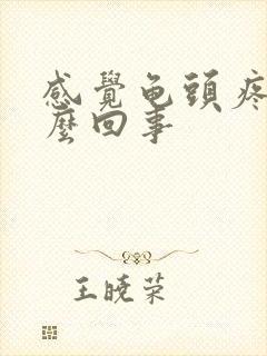 感觉龟头疼是怎么回事