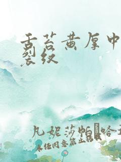 舌苔黄厚中间有裂纹