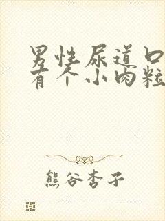 男性尿道口下方有个小肉粒