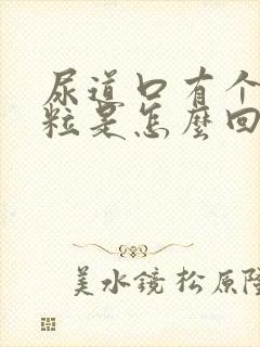 尿道口有个小肉粒是怎么回事