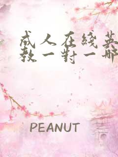 成人在线英语外教一对一哪家好