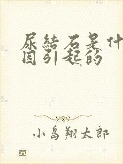 尿结石是什么原因引起的