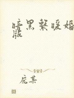 暗黑系暖婚小说版