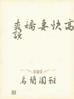 爽娇妻快高h小说