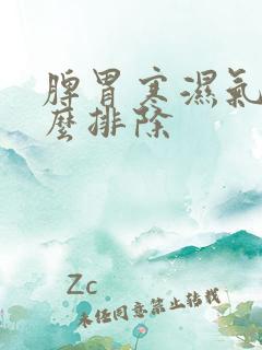 脾胃寒湿气重怎么排除