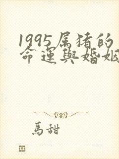 1995属猪的命运与婚姻女