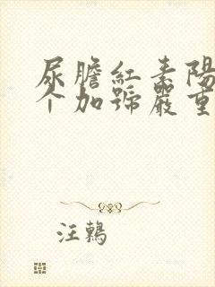 尿胆红素阳性1个加号严重吗