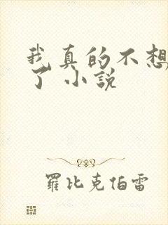 我真的不想努力了 小说