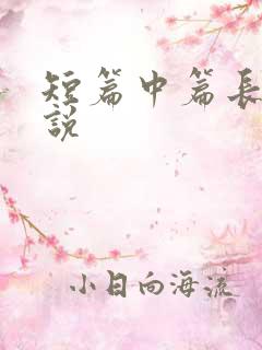 短篇中篇长篇小说