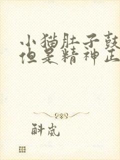 小猫肚子鼓鼓的但是精神正常