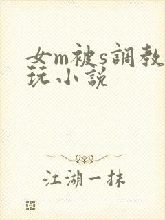 女m被s调教虐玩小说
