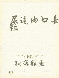 尿道内口长小肉粒