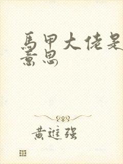 马甲大佬是什么意思