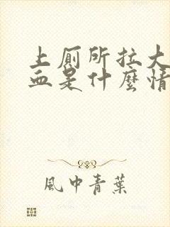 上厕所拉大便出血是什么情况