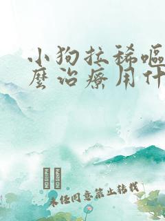 小狗拉稀呕吐怎么治疗用什么药