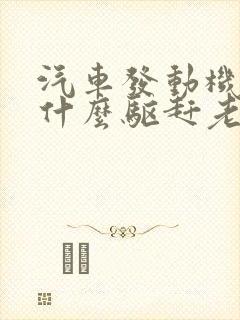 汽车发动机舱用什么驱赶老鼠比较好