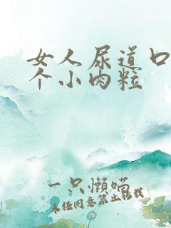 女人尿道口有两个小肉粒