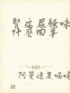 肾病尿骚味重是什么回事