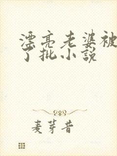 漂亮老婆被玩坏了批小说