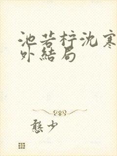 池若柠沈寒声番外结局