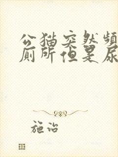 公猫突然频繁上厕所但是尿不出来