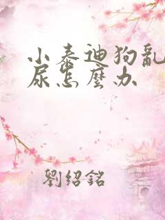 小泰迪狗乱拉乱尿怎么办