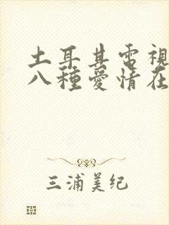 土耳其电视剧第八种爱情在线观看