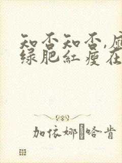 知否知否,应是绿肥红瘦在线