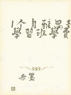 1个月雅思封闭学习班学费