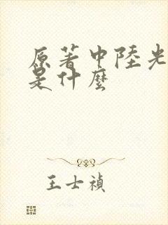 原著中陆光结局是什么