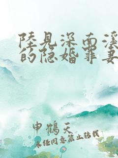 陆见深南溪陆少的隐婚罪妻